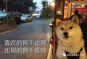 㳰ЦǸϱ꣬ȫɱķ24ͼƬ