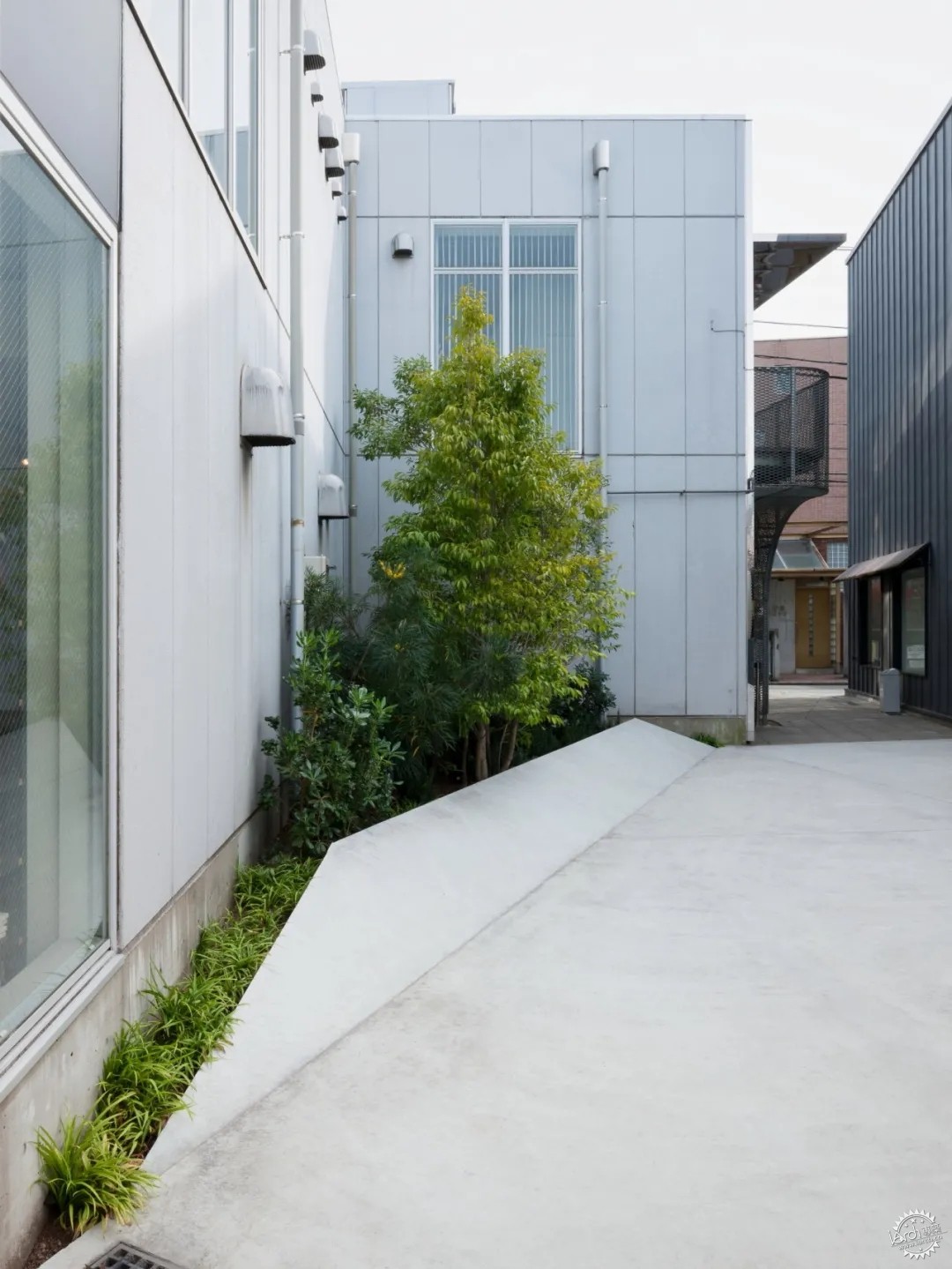 Nobuo Araki / ԽأԽ߹12ͼƬ