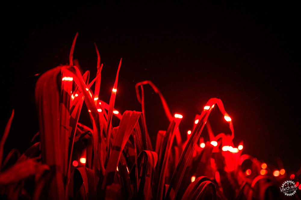 GrowִũҵĽڵ4ͼƬ