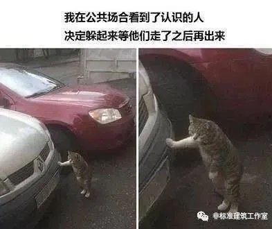 ơֻ֣һʦ2ͼƬ