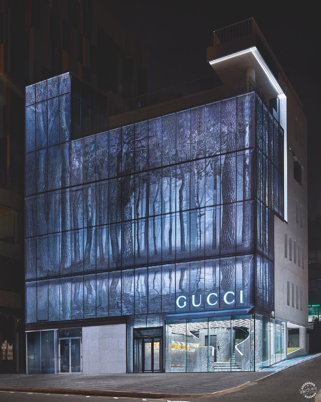 Gucci׶콢꿪ĻĻǽӡ˿ֱ̫˵34ͼƬ