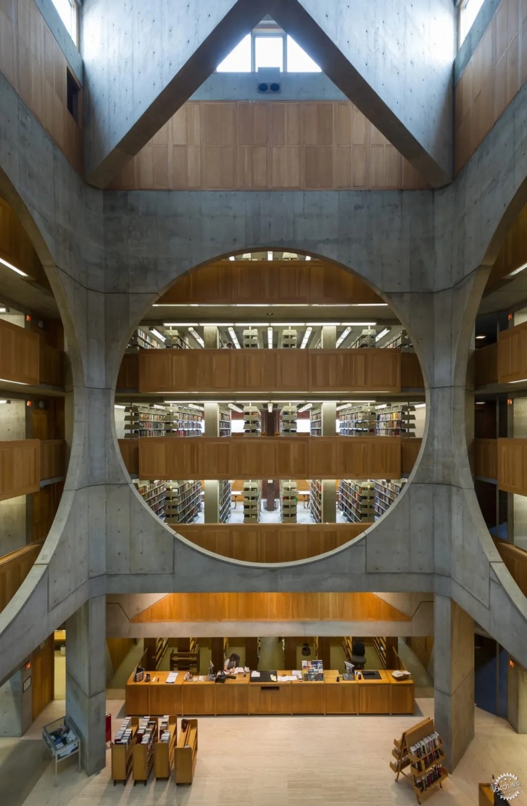 Library / Ӧͼݵģ11ͼƬ