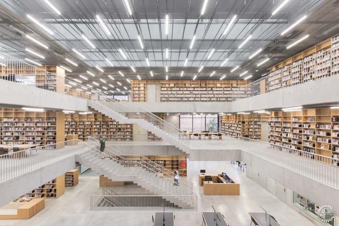 Library / Ӧͼݵģ37ͼƬ