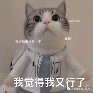 No zuo No die ΪʲôʦҪtry38ͼƬ
