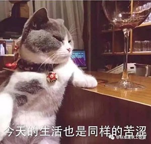 No zuo No die ΪʲôʦҪtry14ͼƬ