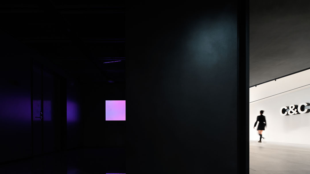 ̬  9ͼƬ