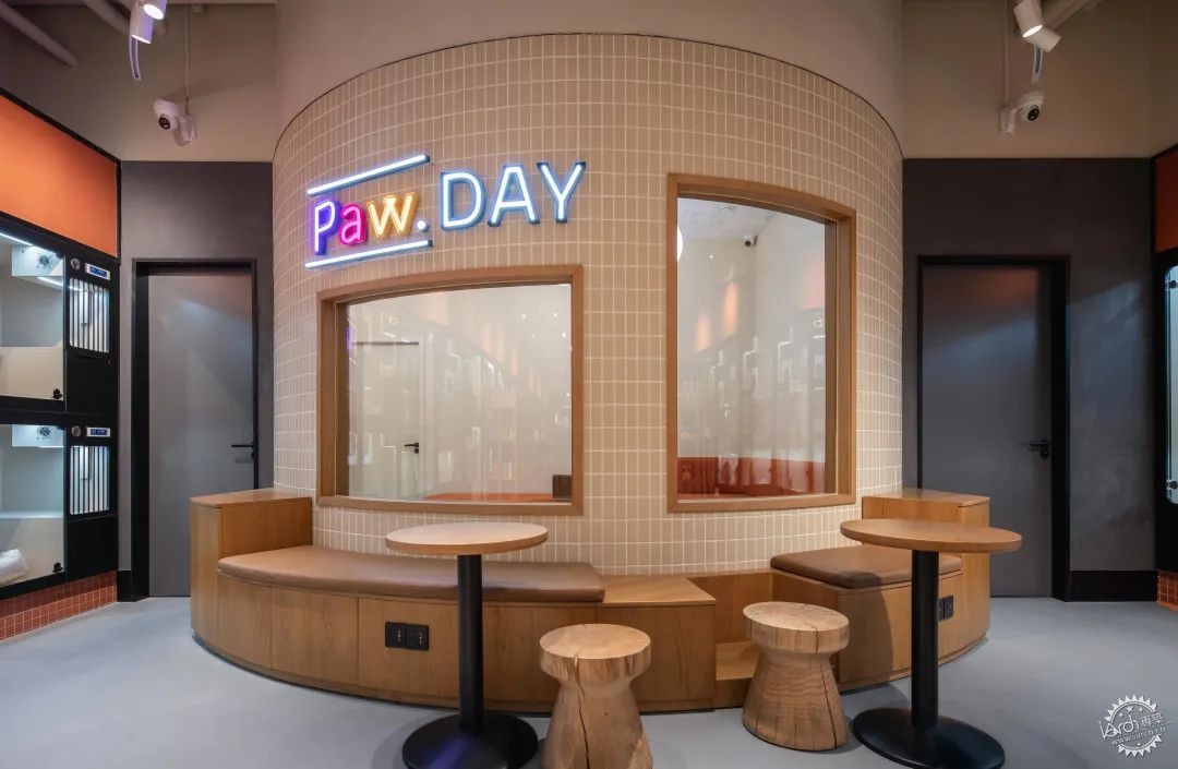 Paw Day Flagship Retail콢14ͼƬ