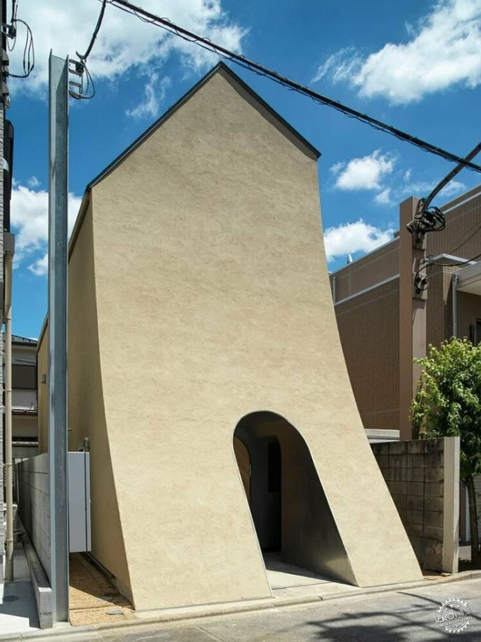 Ĵʽңҡ̬ķӵ12ͼƬ