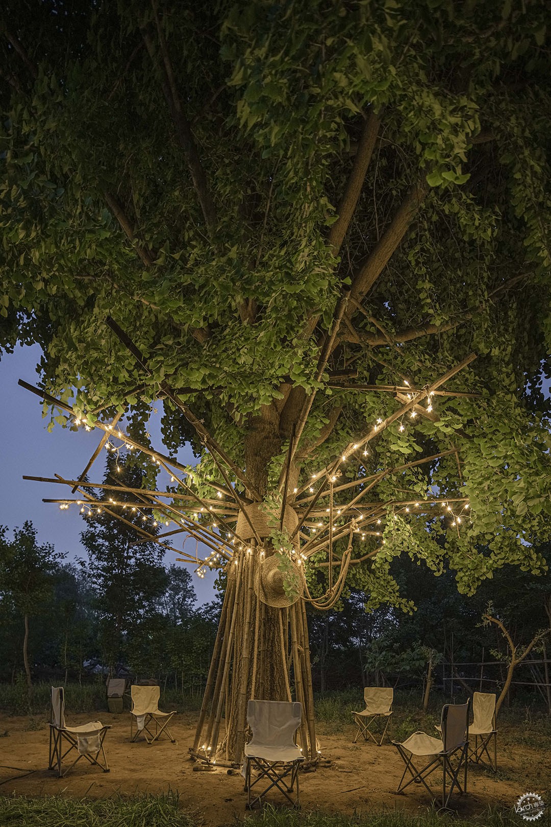 ӵɳ / װáTree of Life4ͼƬ