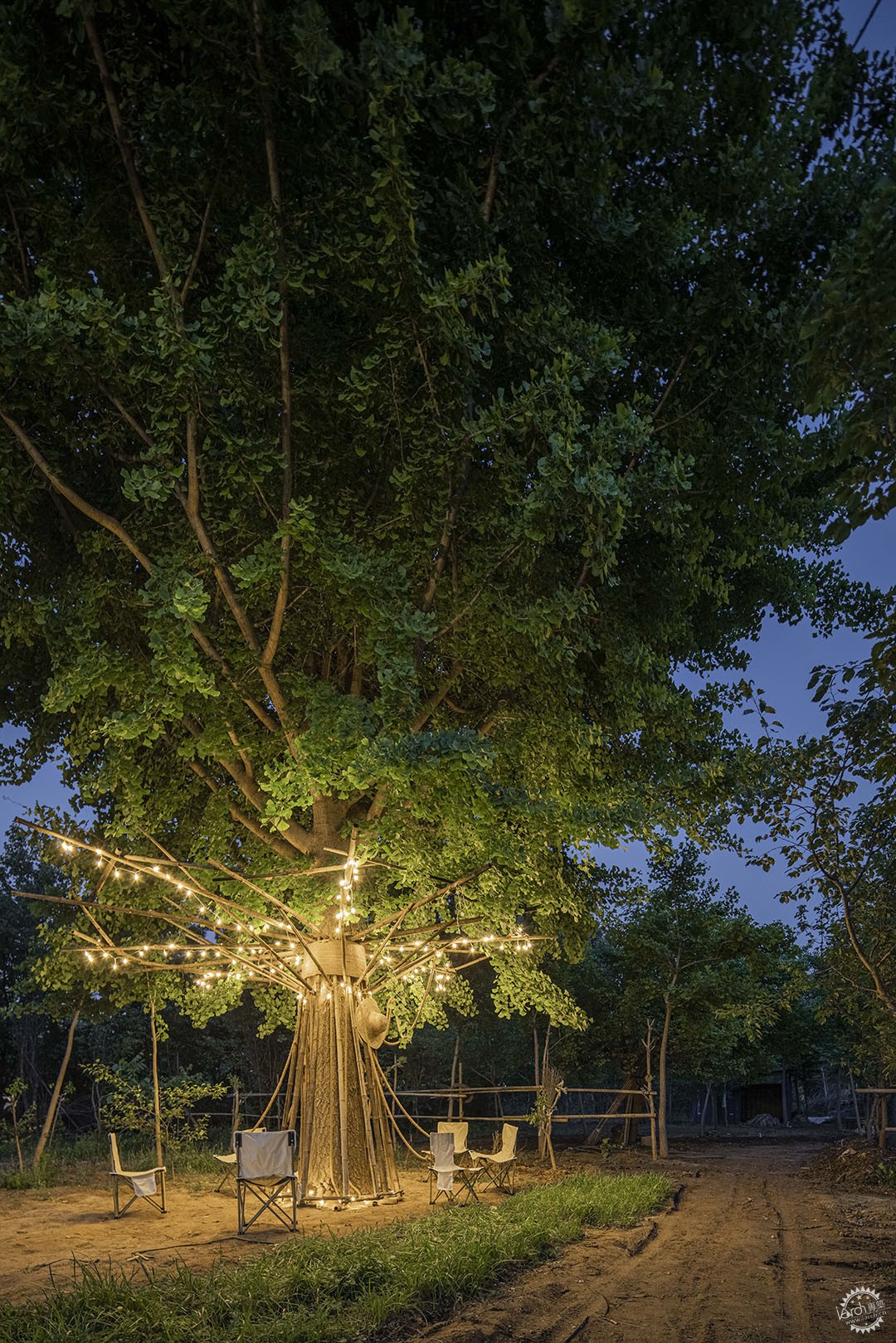 ӵɳ / װáTree of Life7ͼƬ