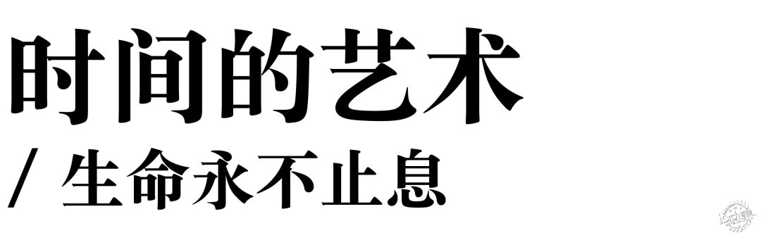 䣺̨14ͼƬ
