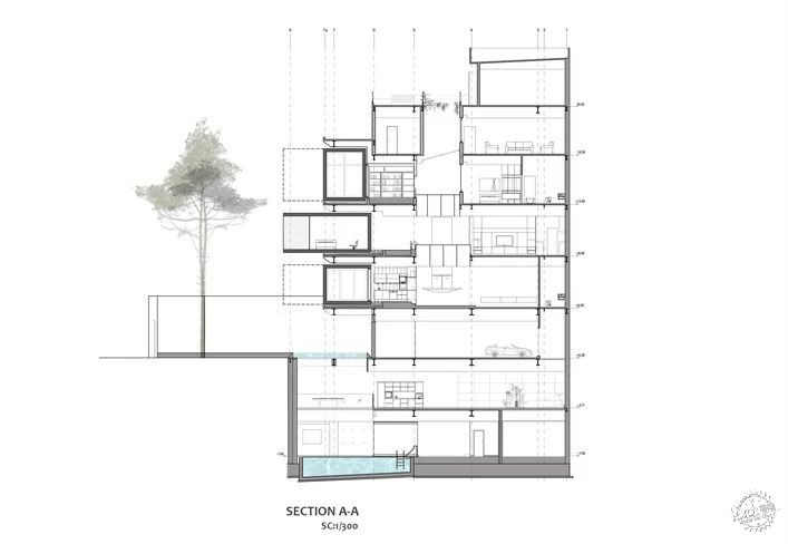 ̬Architect in Motionռ26ͼƬ