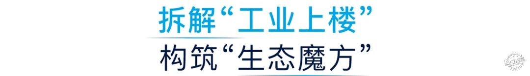 RLP Asia | ﴴ¸۵1ͼƬ