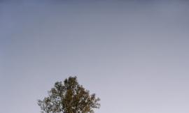 Crop_5