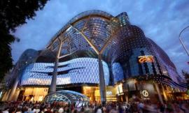 ¼¹ʼ̳ION Orchard