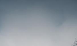 Crop_5
