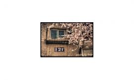 Crop_5