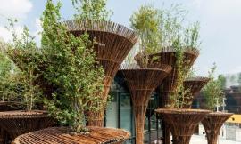 2015ԽϹ / Vo Trong Nghia Architects