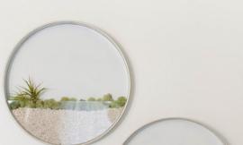 Crop_5