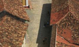 Crop_5