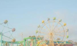 Crop_5