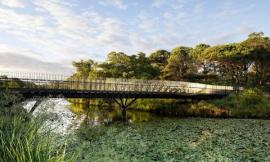 仿生设计融于生态之中 | 悉尼世纪公园巴拉桥