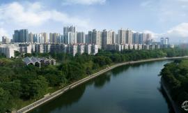 荔湾茶滘的粤式生活：城市空间转变方式的多样性思考