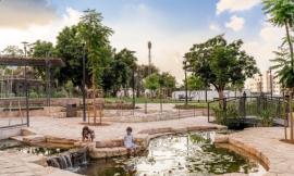 拉马特甘Shaul公园讲述着以色列历史园林新生的故事……