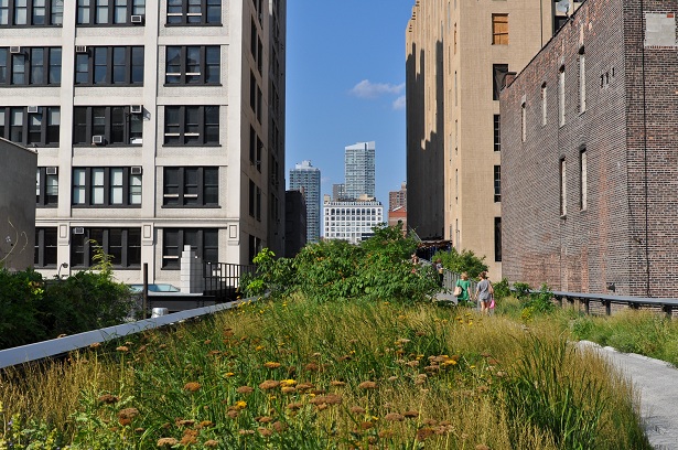 ŦԼ߹԰high line park32ͼƬ