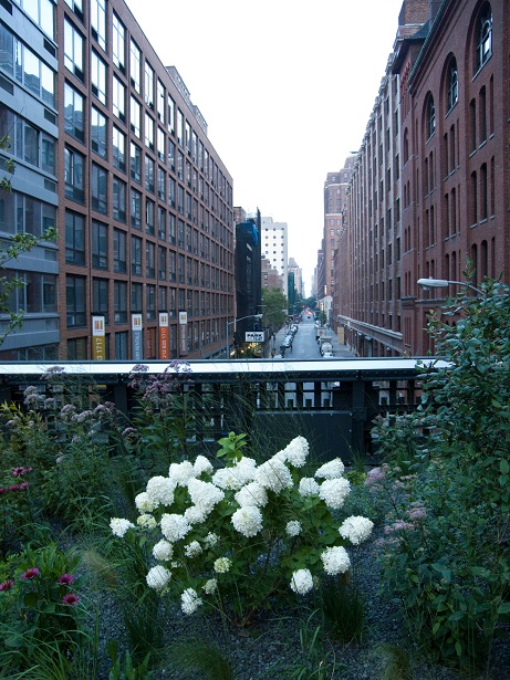 ŦԼ߹԰high line park40ͼƬ