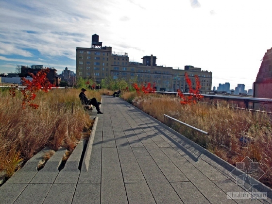 ŦԼ߹԰high line park23ͼƬ