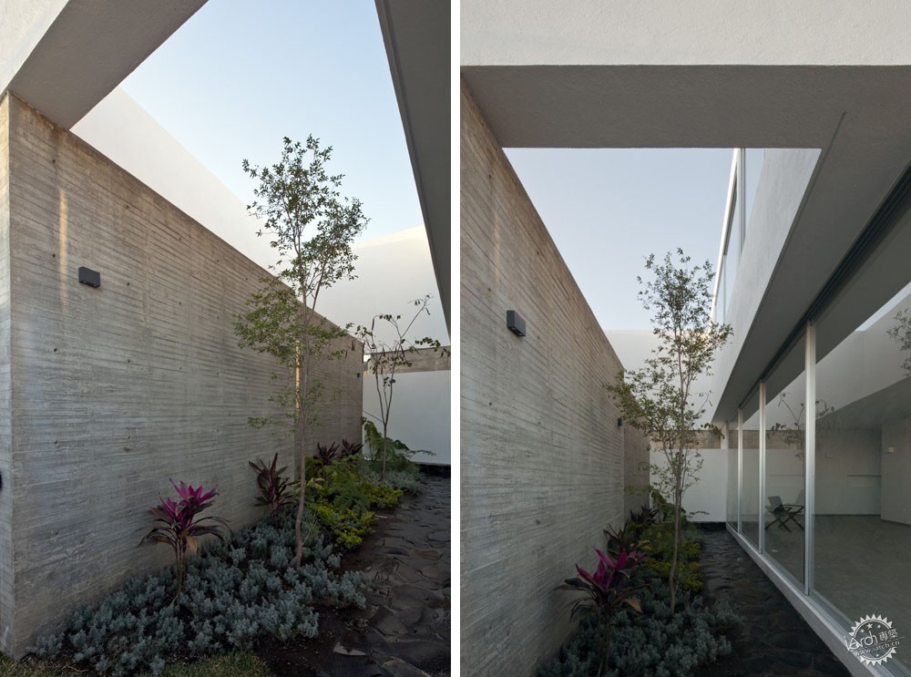 仰望蓝天的住宅/ Abraham Cota Paredes Arquitectos第8张图片