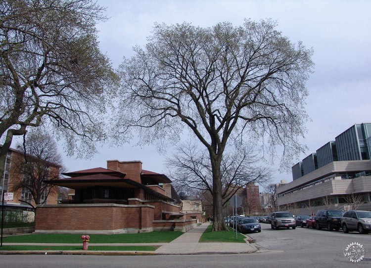 ֥ӸޱסլRobie House by ˡͰ¡ص2ͼƬ