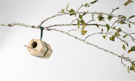Neighbirds Houses / Andreu Carulla