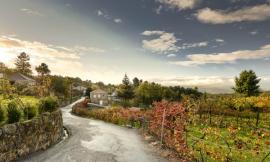 Wood Structure Inside Stone Walls / Corpo Atelier