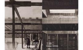 Materialization of Intentions:from Mies to Wang Da-Hong
