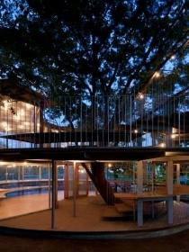 ׶԰Ring Around a Tree by Tezuka Architects