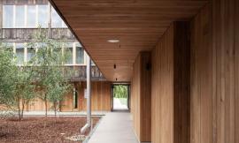 剑桥大学校园内增添了木制走廊/6a Architects