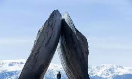 Ϊ죬ɡTippet Rise