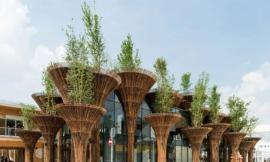 竹子会是亚洲建筑的未来吗？